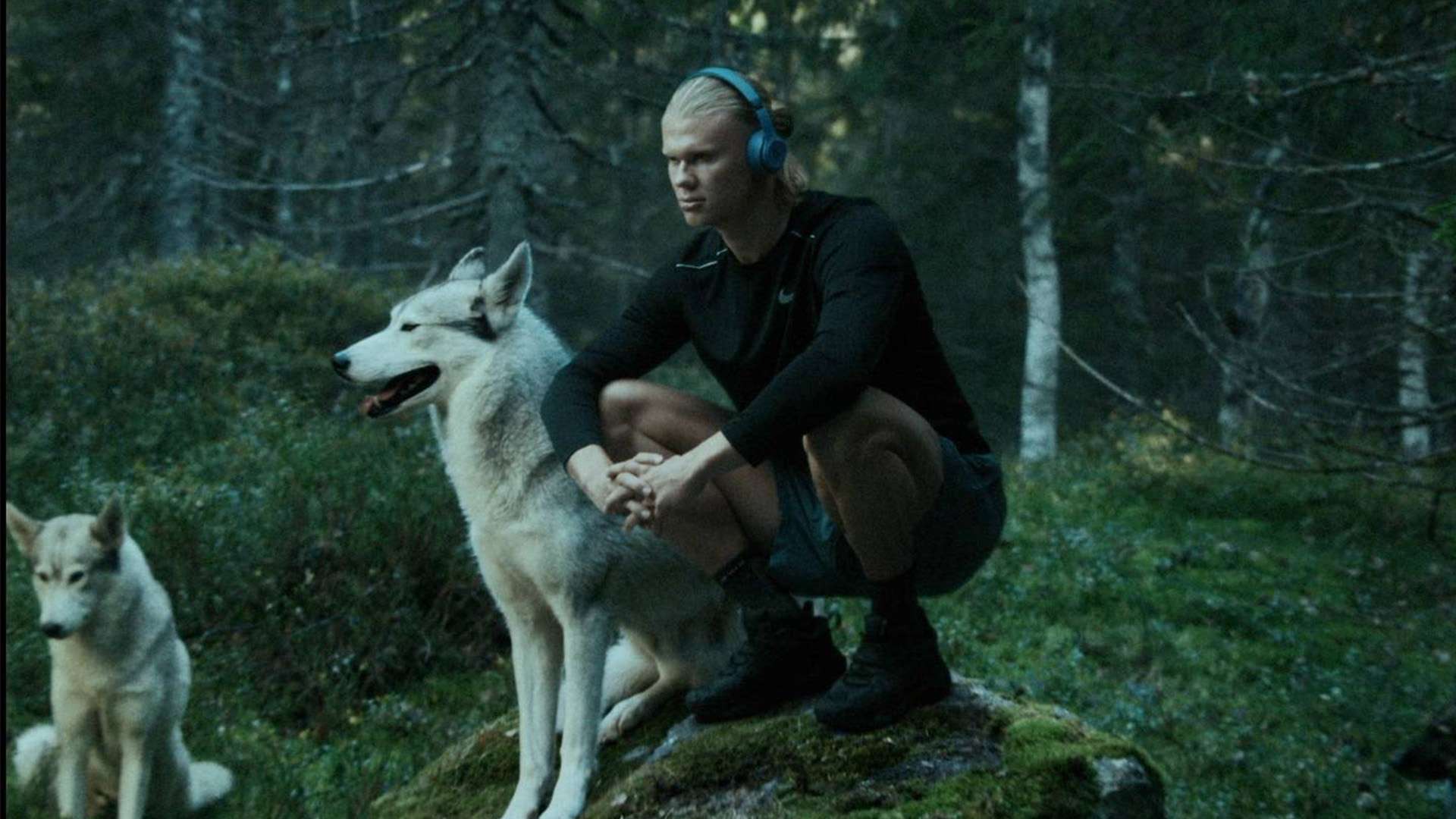 无疑将为球 无疑将为球